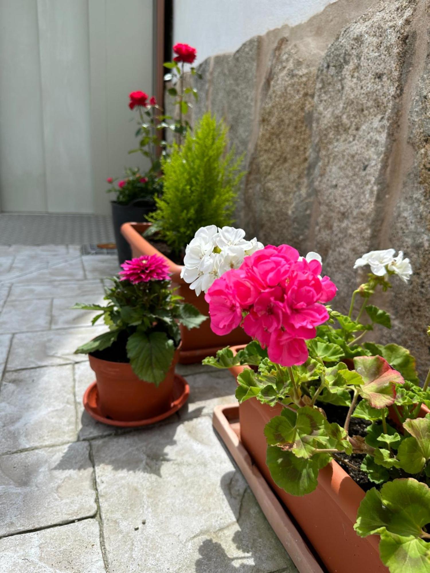 فيلا Casa La Oveja Negra, Con Piscina أورينس المظهر الخارجي الصورة