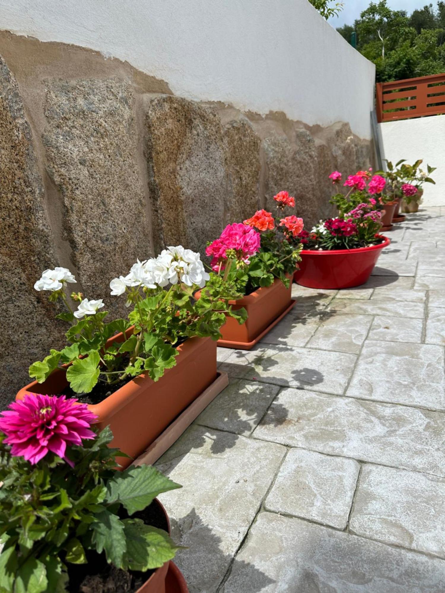 فيلا Casa La Oveja Negra, Con Piscina أورينس المظهر الخارجي الصورة